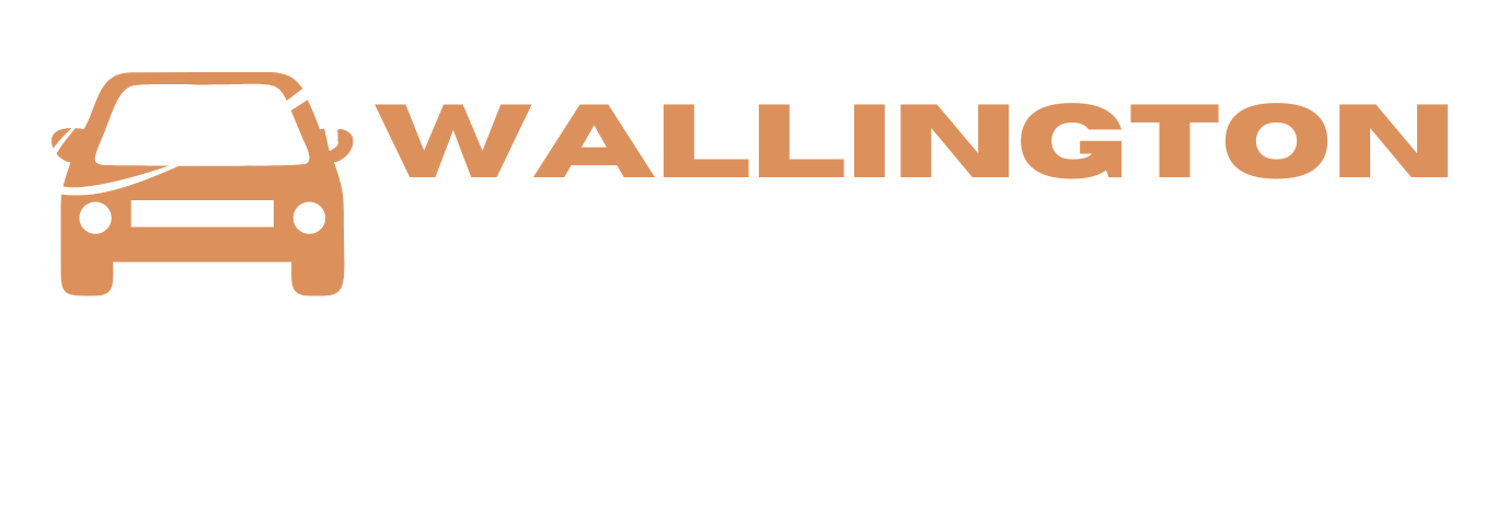 Wallingtion Airport Mini Cab1